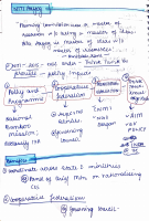Issues related to Planning.pdf